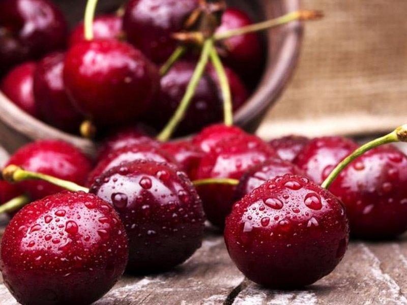 Вишня купить саженцы из питомника в Черкесске