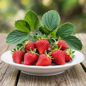 Клубника "АНАСТАСИЯ"  (7шт.)